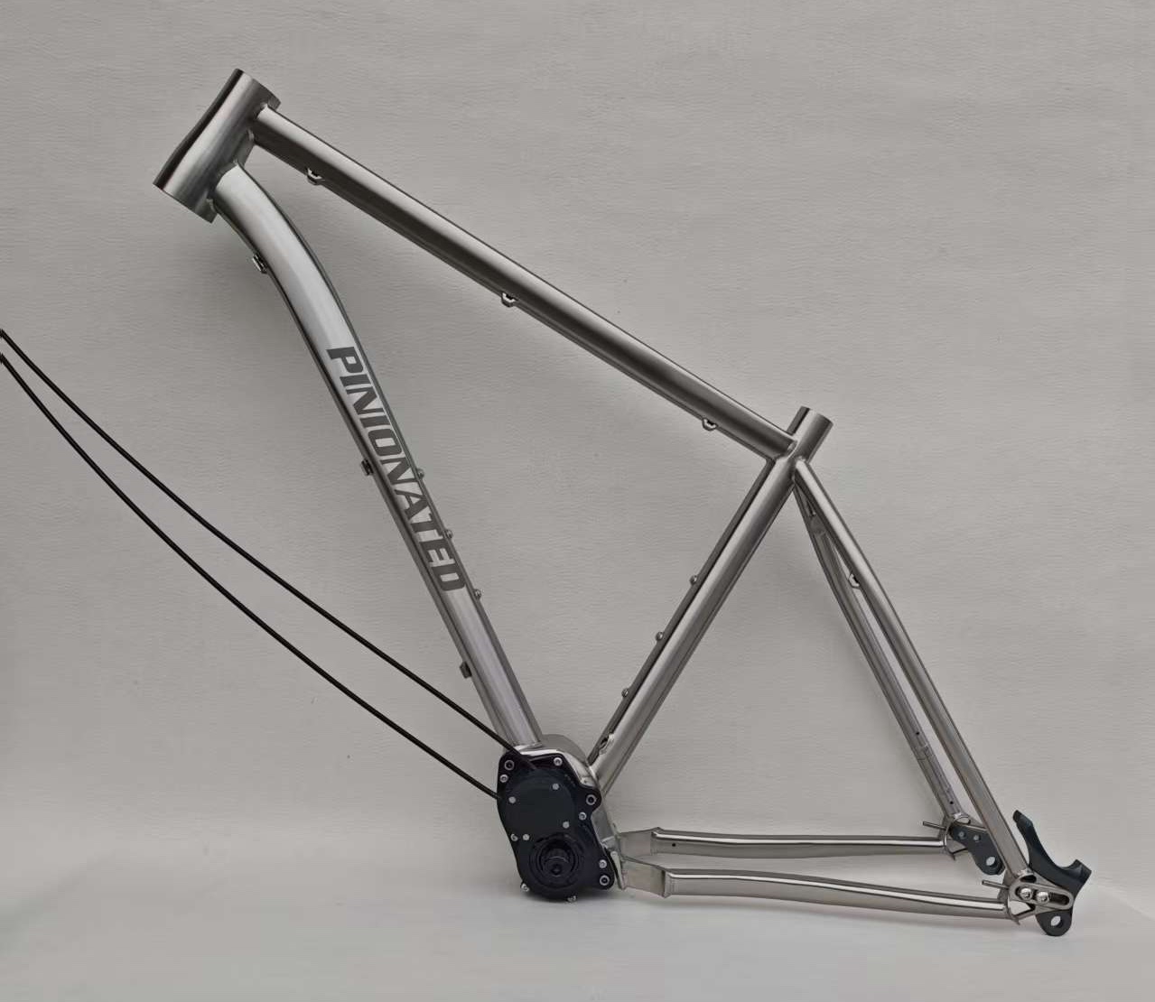 Pinion bike side view